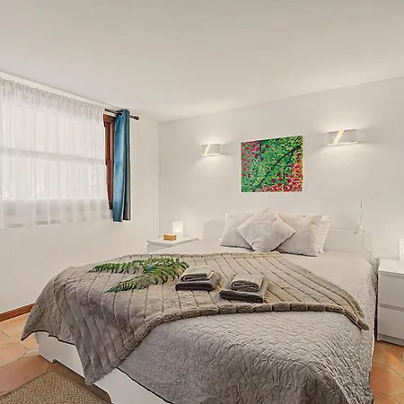 Oasis Garden, Alegranza Holiday home Chayofa